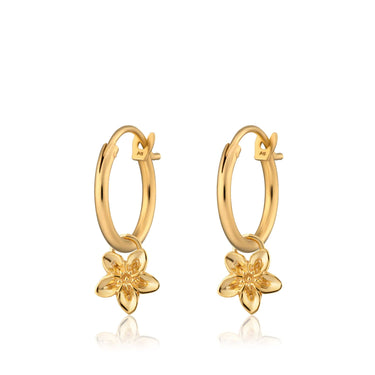 Gold Forget Me Not Flower Charm Hoop Earrings