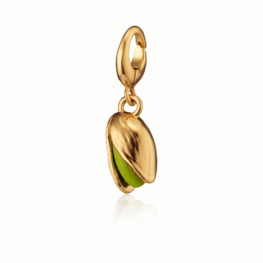 Gold Pistachio Nut Charm on Rotation