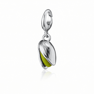 Silver Pistachio Nut Charm on Rotation