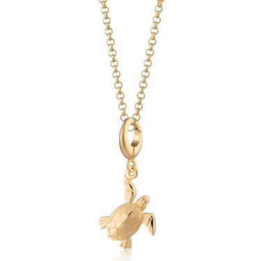 Gold Turtle Charm Necklace | Sea Turtle Pendant
