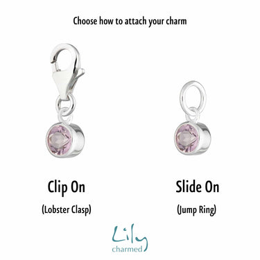  February Birthstone Amethyst Charm | Slide on or Clip on Charm - Lily Charmed