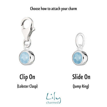 Silver Birthstone Charm | Birthstone Jewellery | Lily Charmed