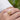 Lion Head Signet Ring by Lily Charmed
