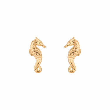 Gold Plated Seahorse Stud Earrings - Lily Charmed