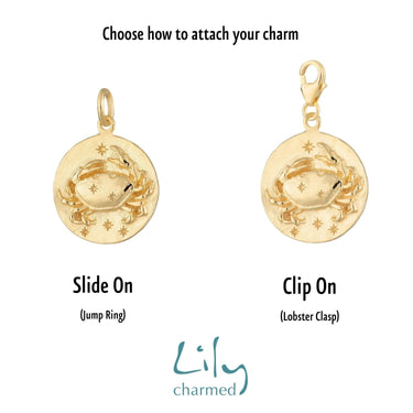Gold Plated Zodiac Charm | Star Sign Charms | Lily Charmed