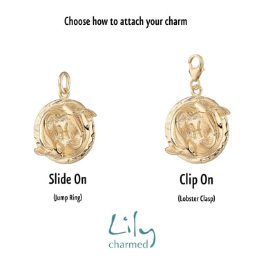 Gold Plated Zodiac Charm | Star Sign Charms | Lily Charmed