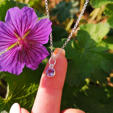 February Birthstone Necklace (Amethyst) | Lily Charmed