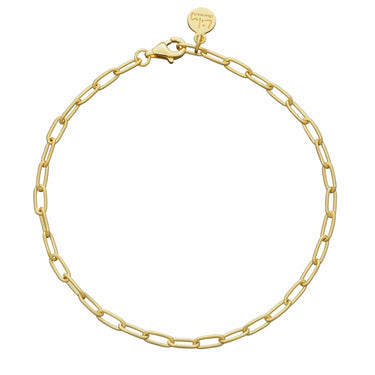 A gold plated oval link charm bracelet with a lobster clasp closure.