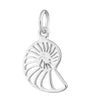 Silver Shell Slice Charm | Shell Charm Jewelery | Lily Charmed
