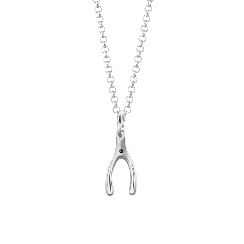 Silver wishbone online necklace