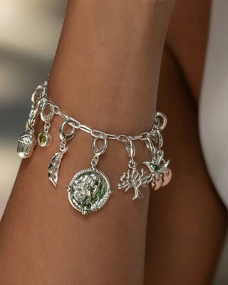 Silver Charms on Charm Bracelet by Lily Charmed