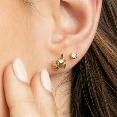 Gold Plated Turtle Stud Earrings - Lily Charmed