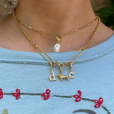 Mixed Link Charm Collector Necklace with Gold Sausage Dog Charm attached