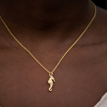 Gold Plated Seahorse Charm Necklace - Lily Charmed