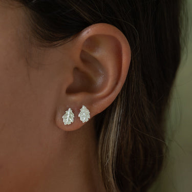 Silver Oak Leaf Stud Earrings - Lily Charmed