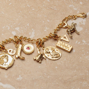Multiple Gold Charms on Charm Bracelet