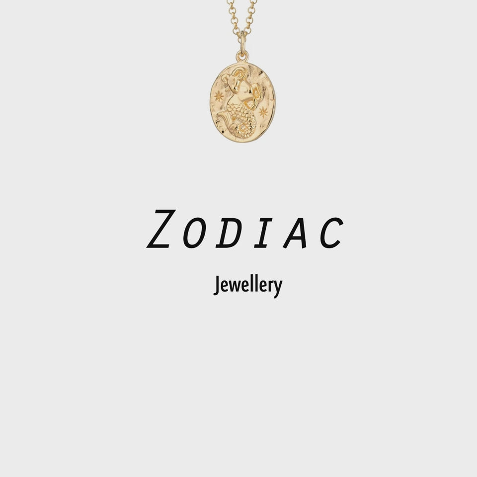 Gold Plated Zodiac Necklace by Lily Charmed