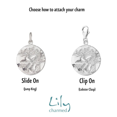 Silver Aquarius Zodiac Charm | Slide on or Clip on Charm| Lily Charmed