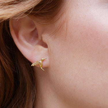 Gold Plated Hummingbird Stud Earrings - Lily Charmed