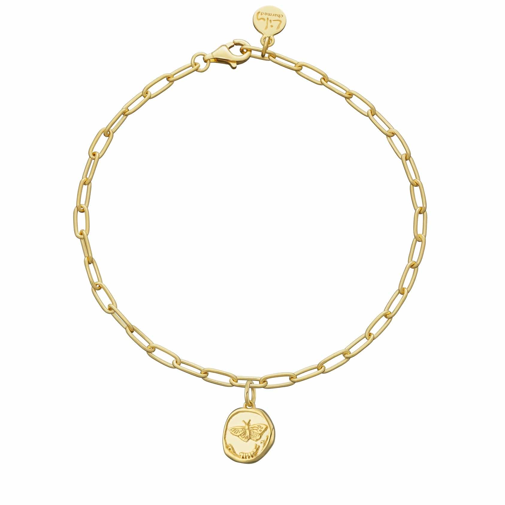 Gold Plated Charms – Lily Charmed