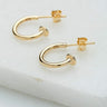 Gold Charm Hoop Earrings by Lily Charmed
