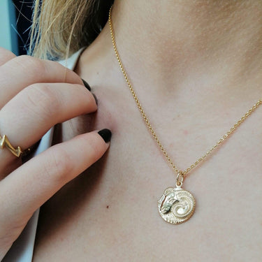 Personalised Gold Plated Aries Zodiac Necklace - Lily Charmed
