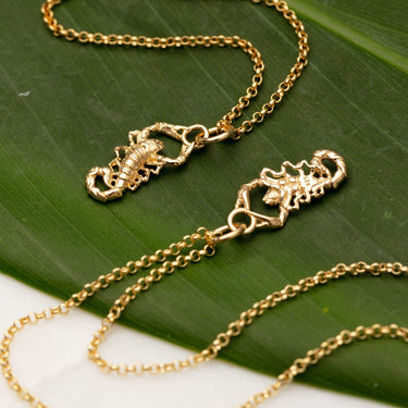 Gold Scorpion Charm Necklace - Lily Charmed