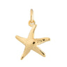 Gold Plated Starfish Charm - Lily Charmed