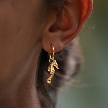 Gold Plated Seahorse Charm Hoop Earrings - Lily Charmed