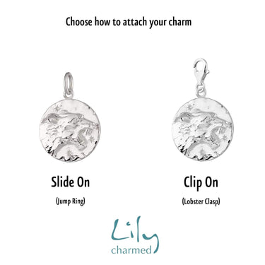 Silver Zodiac Charm | Star Sign Charms | Lily Charmed