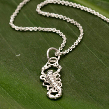 Silver Scorpion Charm Necklace | Lily Charmed
