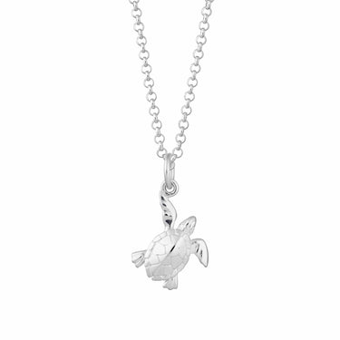 Personalised Silver Turtle Necklace - Lily Charmed