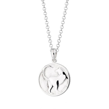 Silver Cat Heads and Tails Necklace - Lily Charmed
