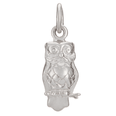 Silver  Owl Charm - Lily Charmed