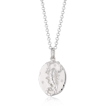 Silver Scorpio Zodiac Necklace - Lily Charmed